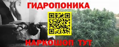 дживик Ливны