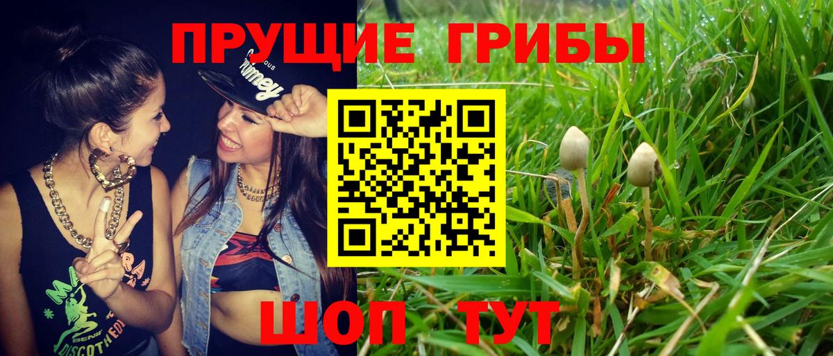 Галлюциногенные грибы мицелий Чехов