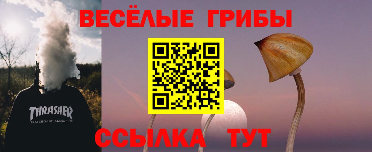 Чехов  Галлюциногенные грибы Psilocybine cubensis  Вход с VPN  Псилоцибиновые грибы прущие грибы 